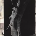 Lindsay Kemp Company (Fotochemische Vermalung), 1981, 30,9 x 24,2 cm, Silbergelatineabzug auf Barytpapier, Neg.-Nr. 3552-27