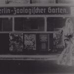 Zoologischer Garten (Solarisation), Berlin, 1975, 24,3 x 30,5 cm, Silbergelatineabzug auf Barytpapier, Neg.-Nr. 971-33