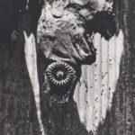 New York (Strukturen), USA, 1983, 30,4 x 22,4 cm, Silbergelatineabzug auf Barytpapier, Neg.-Nr. 3766 -9