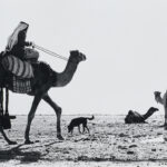 Beduinen, Israel, 1979, 20 x 31 cm, Silbergelatineabzug auf Barytpapier, Neg.-Nr. 3129 -30