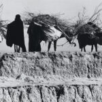 Beduinen, Israel, 1980, 18,8 x 31,2, cm, Silbergelatineabzug auf Barytpapier, Neg.-Nr. 3328-2