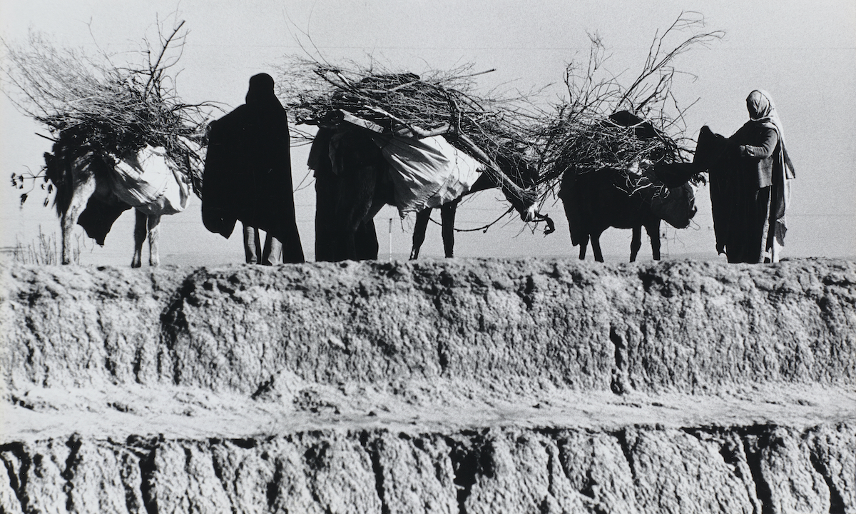 Beduinen, Israel, 1980, 18,8 x 31,2, cm, Silbergelatineabzug auf Barytpapier, Neg.-Nr. 3328-2