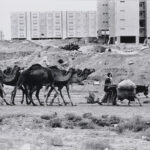 Beduinen, Israel, 1980, 20,3 x 31 cm, Silbergelatineabzug auf Barytpapier, Neg.-Nr. 3350 -16
